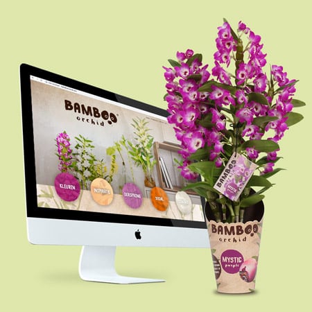 http://Bamboo%20website%20packaging